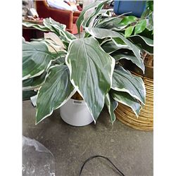 ARTIFICIAL PLANT IN POT