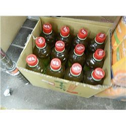 TAOTI CASE - APPLE GREEN TEA