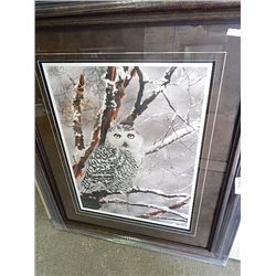 FRAMED LIMITED EDITION PRINT " EYES OF THE SPIRIT" - LESLEY HARRISON