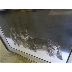 FRAMED LIMITED EDITION PRINT "BELONGS TO THE WILD " – LESLEY HARRISON