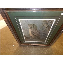 FRAMED LIMITED EDITON PRINT "GIANT EAGLE OWL" - ROBERT BATEMAN