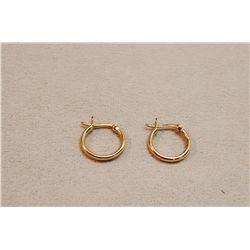 Sterling Silver Hoop Earrings