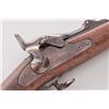 Image 5 : Springfield 1873 Trapdoor Rifle