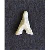 Image 1 : Sahara Neolithic point, measures approx 1 inch