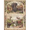Image 2 : From a collection of rare prints