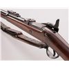 Image 2 : Springfield Model 1884 Trapdoor Rifle