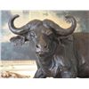 Image 3 : Exquisite Bronze Sculpture Cape Water Buffalo