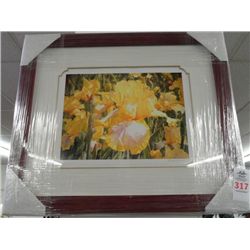 Framed Litho Florals By Elipe