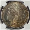 Image 2 : 1881 S MORGAN DOLLAR NGC MS65+ OBV COLORS!