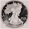 Image 2 : 2013-W PROOF AMERICAN SILVER EAGLE, NGC PF-69 ULTRA CAMEO
