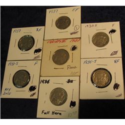 153. 1913 P T.2 G-4, 30 S F, 31 S F, 35 S VF, 36P EF, & 37 P EF Buffalo Nickels.