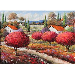 MARK BRAVER- "WELCOME TO THE COUNTRY"