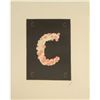Image 1 : Original Hand Signed Erte Serigraph "Letter C"