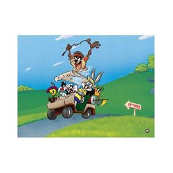 Limited Edition Warner Brothers Animation