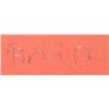 Image 3 : Signed Limited Edition Briss