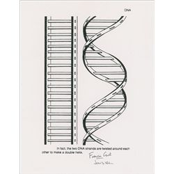 DNA: Watson and Crick