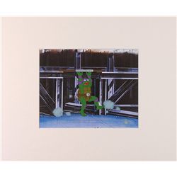 Teenage Mutant Ninja Turtles