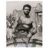 Image 1 : Steve Reeves