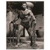 Image 2 : Steve Reeves