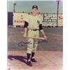 Image 1 : Mickey Mantle