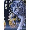 Image 1 : WHITE TIGER