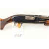 Image 3 : Winchester Model 12 12ga 1857647