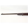 Image 8 : Springfield 1873 Trapdoor "Carbine" .45-70 293908
