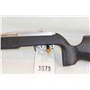 Image 8 : Ruger 10/22 Custom