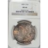 Image 1 : 1880-S MORGAN DOLLAR NGC MS66 TONED