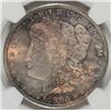 Image 2 : 1880-S MORGAN DOLLAR NGC MS66 TONED