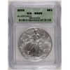 Image 1 : 2002 SILVER AMERICAN EAGLE ICG MS69