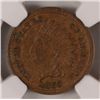 Image 2 : 1863 INDIAN HEAD CENT NGC XF45