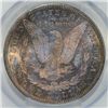 Image 3 : 1880/9-S MORGAN DOLLAR PCGS MS64