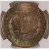 Image 3 : 1904-O MORGAN DOLLAR NGC MS63