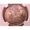 1888 Morgan Dollar Ch MS64 NGC Color Coin