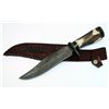 Image 1 : COLLECTORS EDITION STAG HANDLE HAND MADE HUNTERS KNIFE
