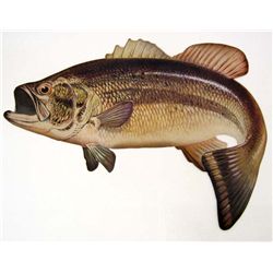 14670 - DIE CUT FISH PAPER SIGN