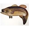 Image 1 : 14670 - DIE CUT FISH PAPER SIGN