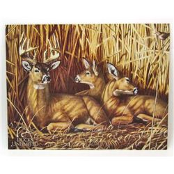 14837 -  METAL DUCKS UNLIMITED DEER SIGN APPROX. 16"  X 12 1/2"