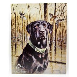 7686 - DUCKS UNLIMITED METAL SIGN