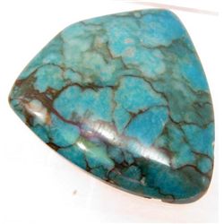 6817 - 83.0 CT ZEBRA JASPER PENDANT