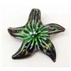 Image 1 : 7531 - MURANO GLASS STARFISH PENDANT