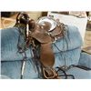 Image 2 : WESTERN SADDLE & BRIDLE WITH SILVER ACCENTS