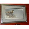 Image 1 : FRAMED LIMITED EDITION PRINT "HOARY MARMOT - ROBERT BATEMAN