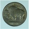 Image 8 : 5-1931-S BUFFALO NICKELS AVG CIRC