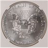 Image 3 : 2013 SILVER AMERICAN EAGLE NGC MS69 EARLY RELEASE