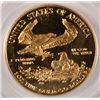 Image 3 : 1987-W $50 GOLD AMERICAN EAGLE PCGS PR69 DCAM