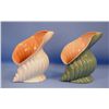 Image 1 : Pair Catalina Pottery, McBean Conch Shell Vases