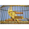 Image 3 : Hendryx Brass Bird Cage and Stand