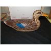 Image 1 : Wood Duck Decoy